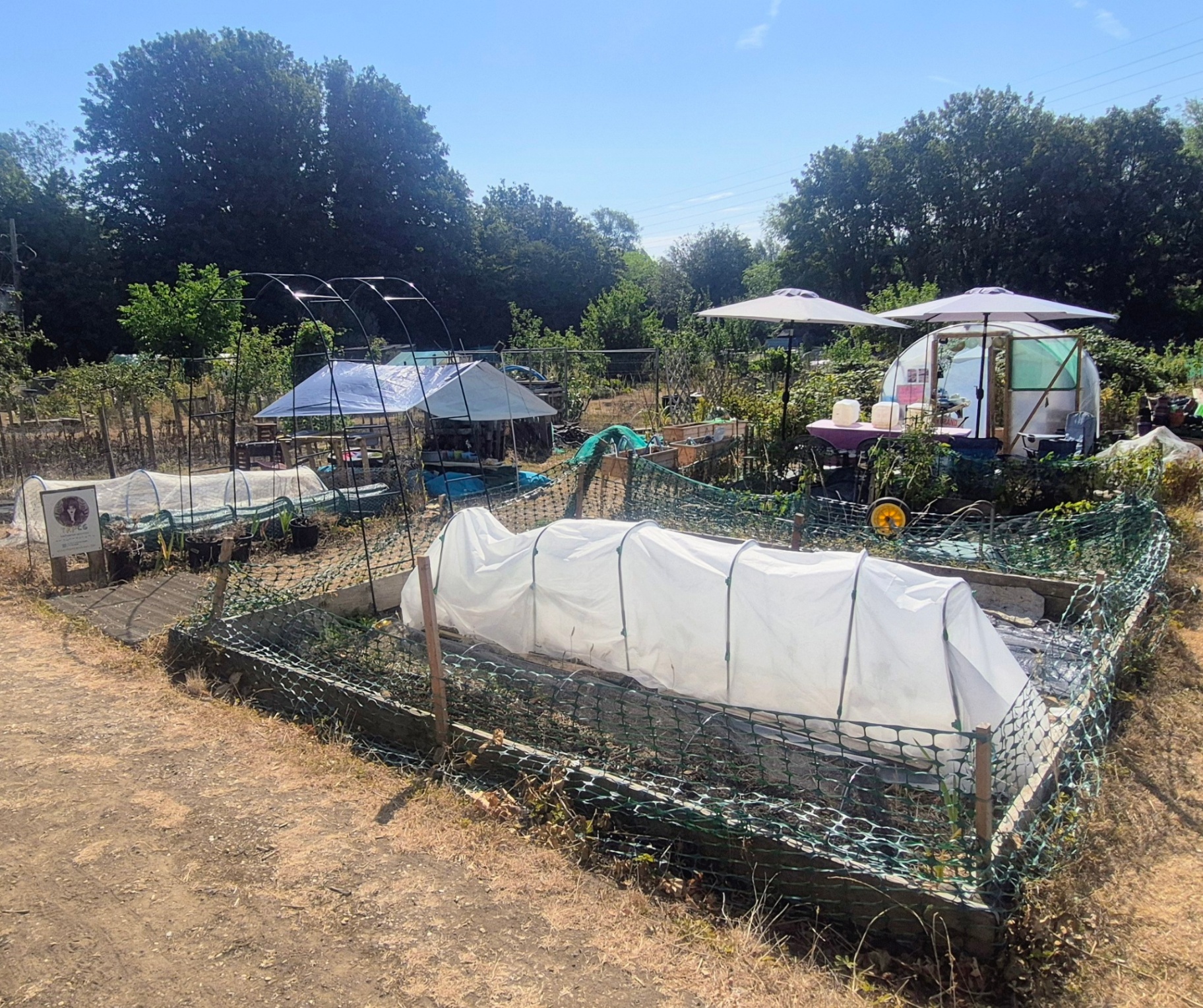 The TRP community garden in August 2026 with the polytunnel, raised beds and shaded seating area